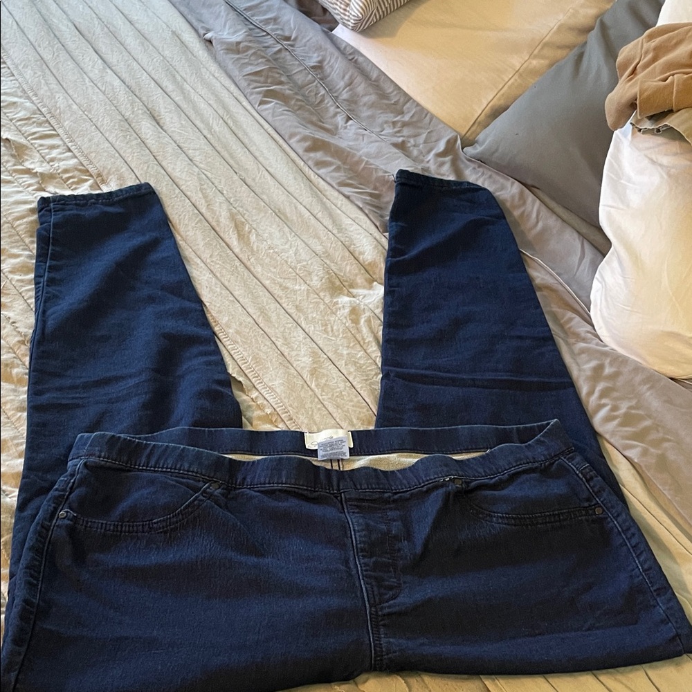 Jaclyn Smith Dark Blue Jeggings